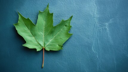 Poster - Single Green Maple Leaf on Textured Background Showcasing Natural Beauty and Contrast in Minimalist Style