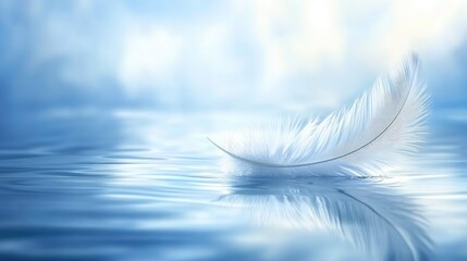 Poster - Delicate white feather floating on calm water with soft blue reflections creating a tranquil and serene atmosphere.