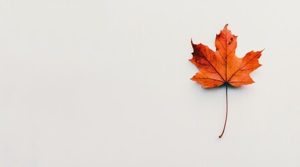 Poster - Maple Leaf in Vibrant Autumn Colors on Minimalist White Background Perfect for Seasonal Decor or Nature Themed Designs
