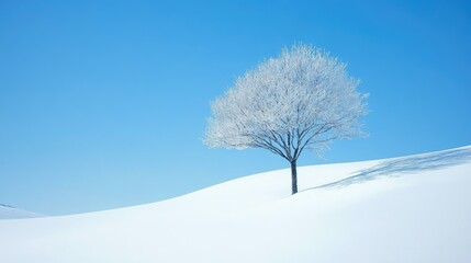 Poster - Lone frost-covered tree on snowy landscape under a clear blue sky creating a serene winter mountain scene