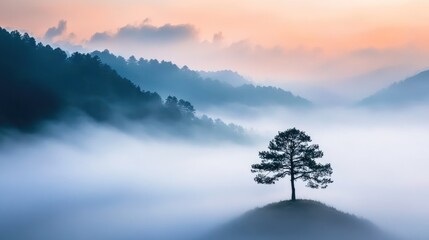 Aufkleber - Solitary tree emerging from ethereal fog against a pastel skyline in a tranquil mountainous landscape at sunrise