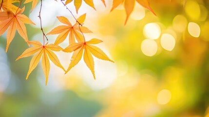 Poster - Vibrant Golden Autumn Leaves Gently Swaying in a Serene Green Forest with Soft Bokeh Background and Warm Natural Light