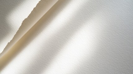 Poster - Soft white textured paper illuminated by gentle natural light with subtle shadows on a clean background showcasing artistic simplicity.