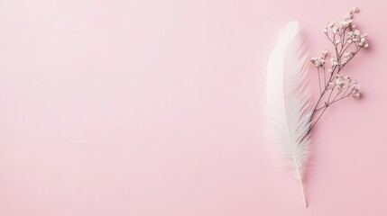 Poster - delicate white feather with soft pink pastel background and small floral accents in a minimalist com