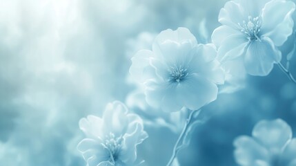 Poster - Delicate Pastel Blue Floral Background Soft Focus Abstract Design for Tranquil and Serene Atmosphere