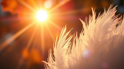Wall Mural - Ethereal white feathers, Glowing golden sunburst, Warm sunlight rays, Soft focus, Dreamy atmosphere, Celestial illumination, Delicate textures, Heavenly light, Divine radiance, Spiritual awakening, 