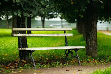 Serenity on a park bench surrounded by lush greenery and tranquil pathways during a sunny afternoon