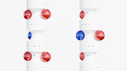 Wall Mural - dynamic 3d animation of red and blue spheres on a white background in seamless loop – perfect for ab