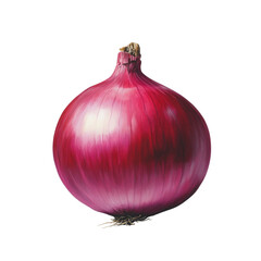 Aufkleber - A meticulously painted red onion dominates the image with its rich color and texture against a simple white background.