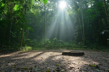 Poster - Bright sunlight streams through a tranquil forest, casting shadows on a bare forest floor and highlighting a solitary tree stump, creating a serene atmosphere.