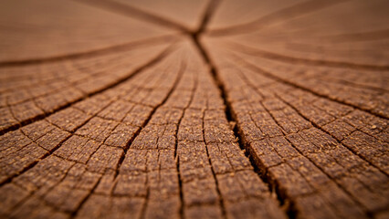 Poster - Wooden slicing design