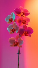 Aufkleber - Close-up view of vibrant blooming orchids against a colorful backdrop during a bright daylight setting