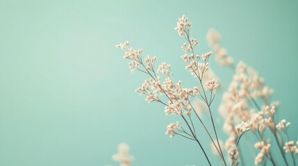 Poster - Delicate flowers against a mint-colored background showcasing nature's beauty and tranquility