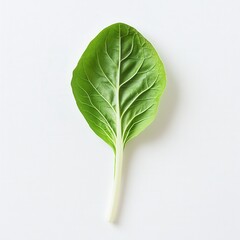 Poster - Fresh bok choy leaf showcasing vibrant green color detailed with intricate leaf textures