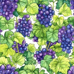 Poster - Vibrant watercolor doodle pattern featuring clusters of deep purple grapes and bright green leaves