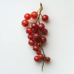 Poster - Cluster of glossy red currants on a white background showcasing their vibrant color and intricate design