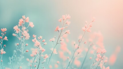 Aufkleber - Pastel mint and coral mist envelop delicate flowers in a serene natural setting