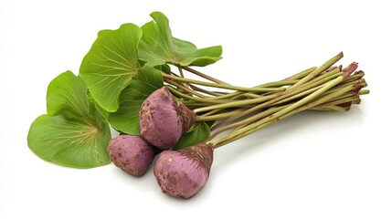 Wall Mural - Fresh taro roots and leaves on white background showcasing natural textures and colors of this nutritious vegetable.