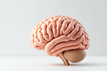 Poster - Anatomically detailed brain model in soft light on white background.