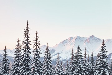 Poster - Snowy landscape with pine trees and mountains under soft light at sunrise or sunset.