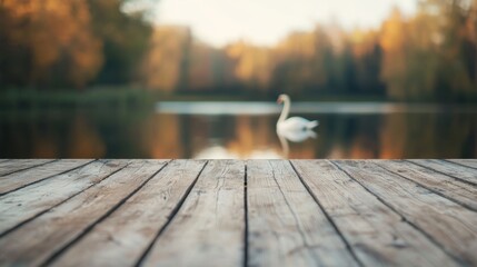 Aufkleber - Wooden pier overlooking lake with blurred swan gliding in background