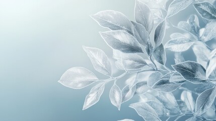 Poster - Delicate silver leaves with frosted edges gracefully arranged against a soft background