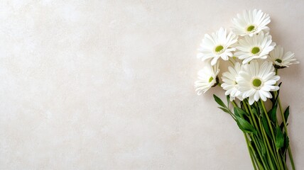 Wall Mural - bouquet of white daisies on light background