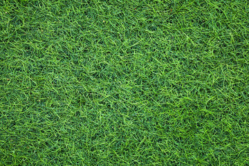 Canvas Print - top view artificial green grass texture for background