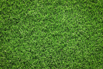 Canvas Print - top view artificial green grass texture for background