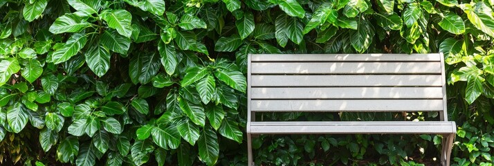 Sticker - Empty Wooden Bench in Lush Green Garden