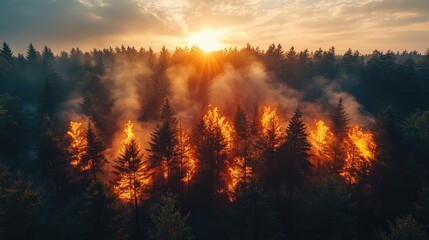 Canvas Print - Sunset forest fire aerial view, smoky sky