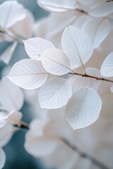 Wall Mural - White Branch with Falling Leaves