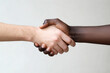 © F-STUDIO - Two hands of different skin tones shake in a gesture of unity and friendship against a neutral background.