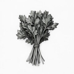 Poster - Freshly gathered parsley with fine leaves on a neutral background showcasing vibrant green color and texture for culinary use