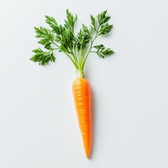 Poster - Bright orange carrot with vibrant green leaves resting on a light background in a fresh produce setting