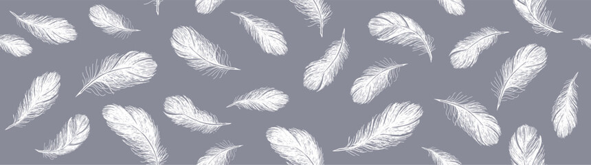 Wall Mural - set of bird feathers. hand drawn sketch style.