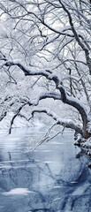 Wall Mural - Bare branches reflected in frozen river with snow banks, frozen, bare, snow