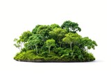 Amazon Rainforest vegetation rainforest outdoors