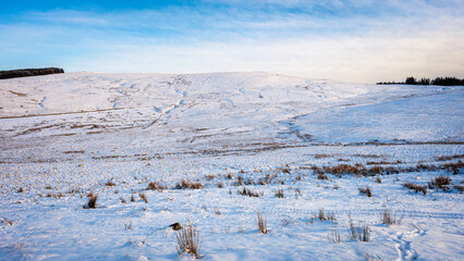 Wall Mural - source of the river tweed, which is 97 miles long from source to estuary and runs eastward in the sc