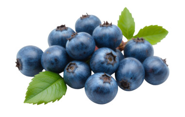 Isolated blueberries png cutout with transparent background for food designs