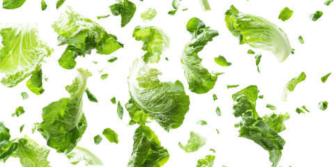 Wall Mural - Green lettuce leaves floating in air isolated on transparent background