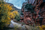 A river flows through a red rock canyon surrounded by vibrant fall foliage. Perfect for travel, nature, and seasonal projects. Beautiful autumn scene in Aragon, Spain.