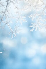 Poster - Frosted acrylic backdrop with intricate frost patterns enhancing the serene winter atmosphere in a cool blue tone