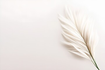 Poster - Elegant white pampas grass branch placed on a soft neutral background, creating a minimalistic and serene aesthetic with a focus on texture and natural beauty