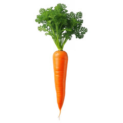 Wall Mural - carrot isolated on white