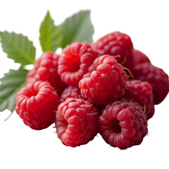 Wall Mural - raspberry on white background