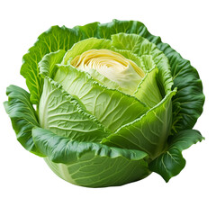 Wall Mural - head of cabbage