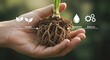 © Loki Stock - Closeup of healthy plant root system in nutrient-rich soil emphasizing balance and growth for eco-friendly agricultural practices under natural light