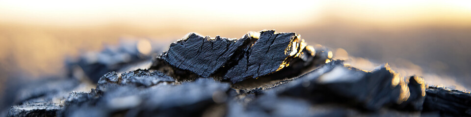 Wall Mural - Charcoal Fragments at Sunset