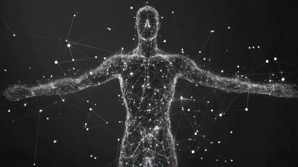Poster - Digital transformation: evolving human figure in dynamic network visualization